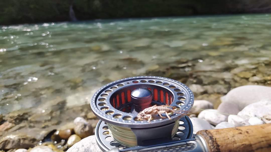 facebook 1686768308879 7074819065004856687